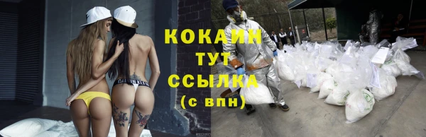 сатива Гусиноозёрск