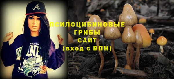 сатива Гусиноозёрск